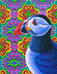 Puffin, 2018,